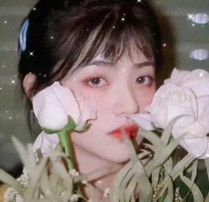您的老鼠好友