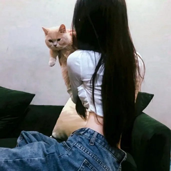 骑着鱼的猫